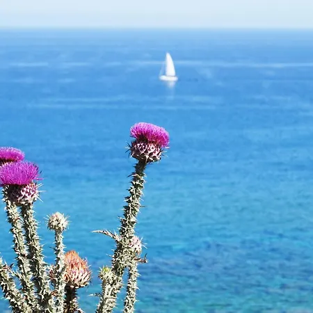 度假居 Giglio Marino Holiday *